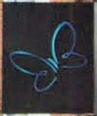 Blu Butterfly sign 2023