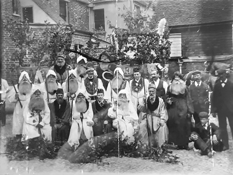 Bull Ancient Order of Druids 1902