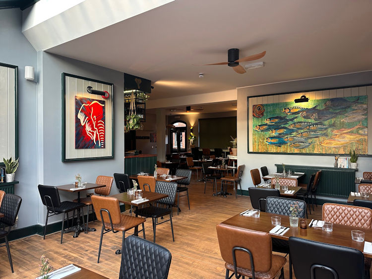 Lazy Elephant inside 2026