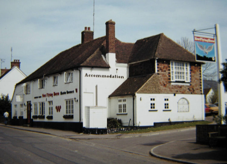 New Flying Horse 1984