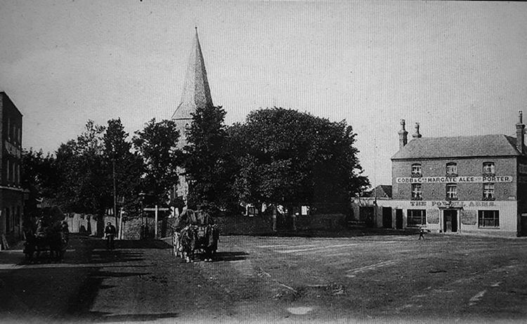 Powell Arms