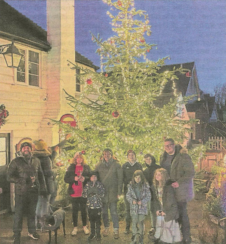 Rising Sun tree 2021