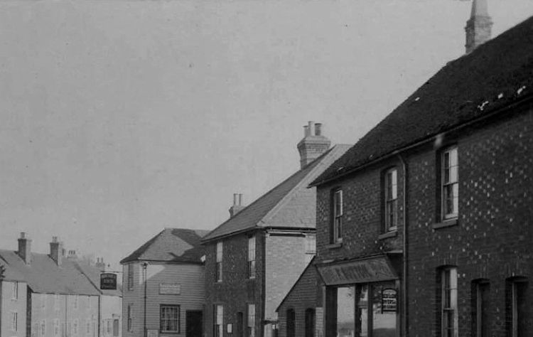 Roebuck 1914