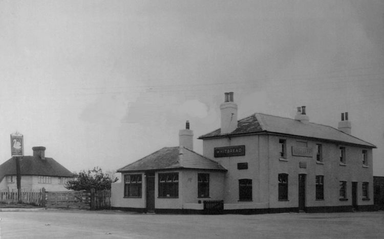 Swan 1951