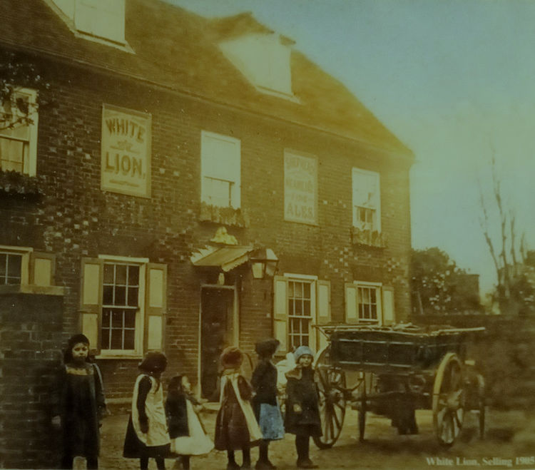 White Lion 1905