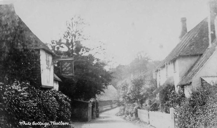 Ye Olde Yew Tree 1909