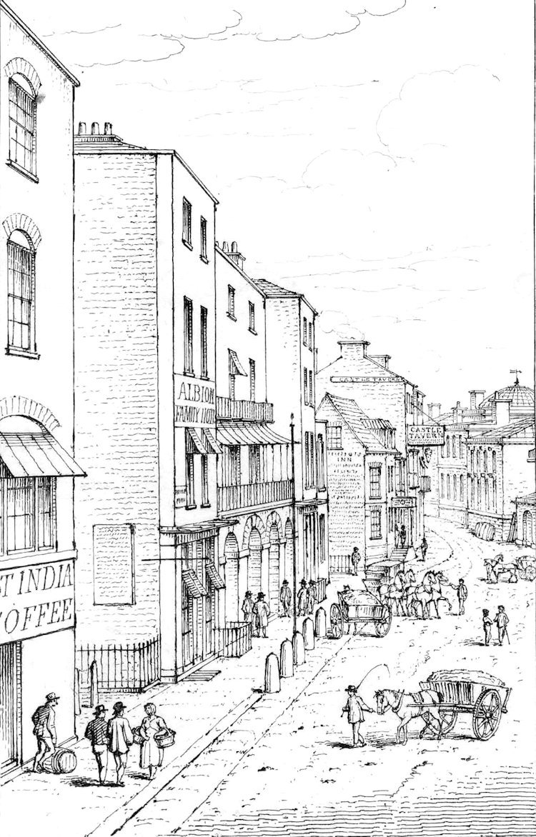 Albion Drawing