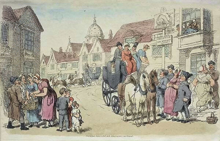 Dolphin 1816