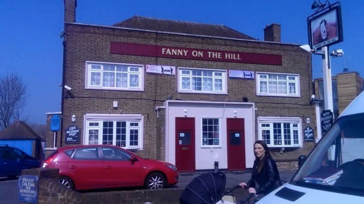 Fanny on the Hill 2014