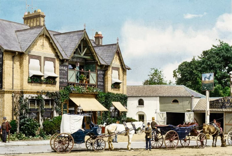 Greyhound 1900