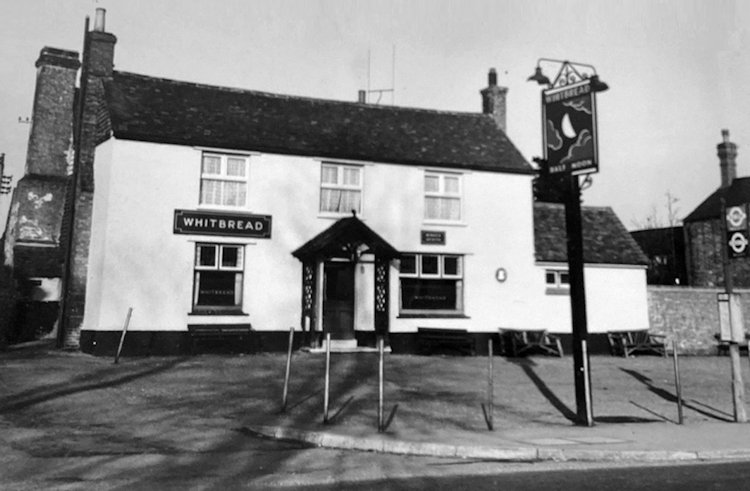 Half Moon 1953