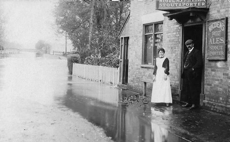 Leopards Head 1909