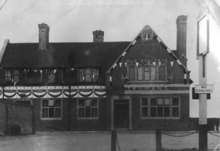 Old Ash Tree 1953