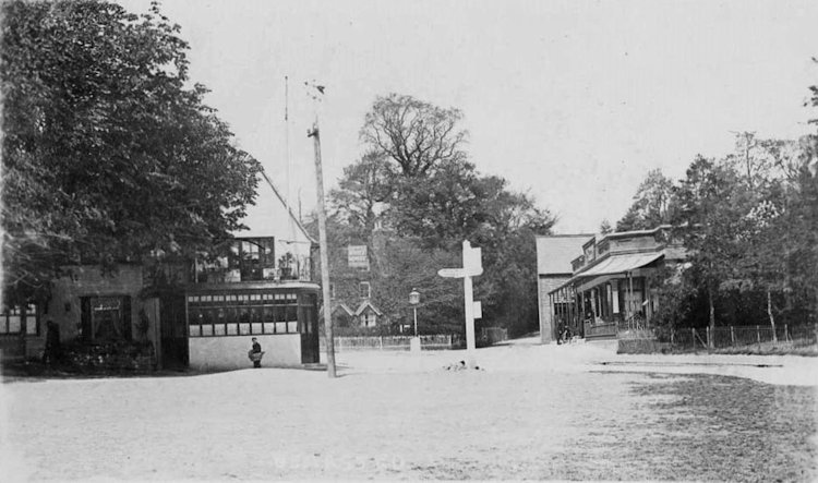 White Horse 1904