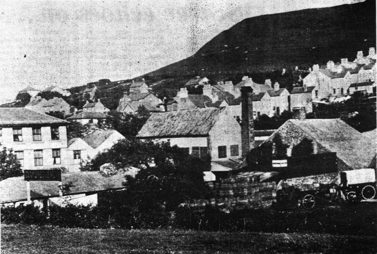 Diamond Brewery Maxton