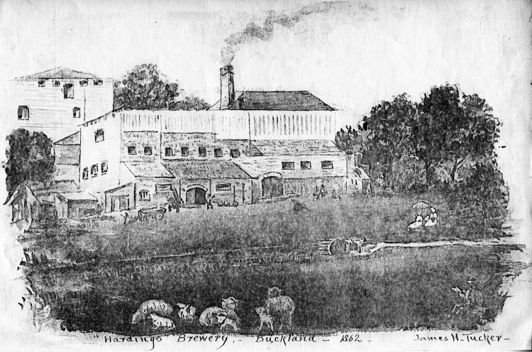 Hardings Wellington Brewery, Buckland