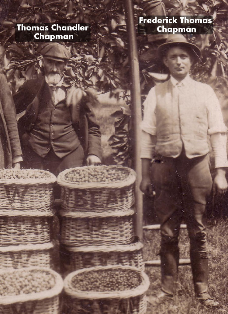Thomas Chandler Chapman and Frederick Thomas Chapman