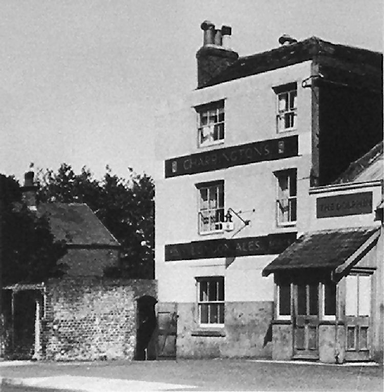 Dolphin circa 1950