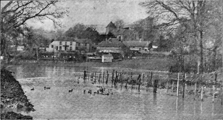 Marquis Cricket Ground flooded 1951