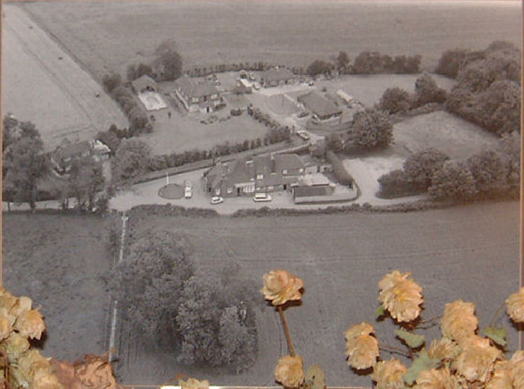 Birds eye view of Cat and Custard Pot