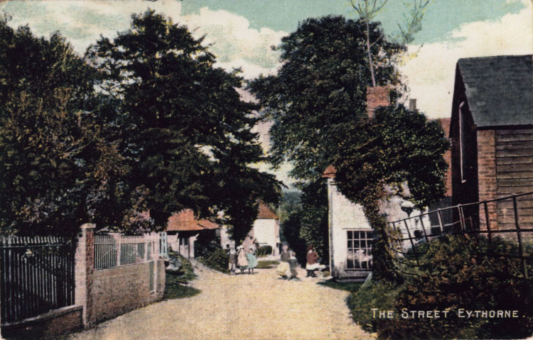 Palm Tree Eythorne 1908