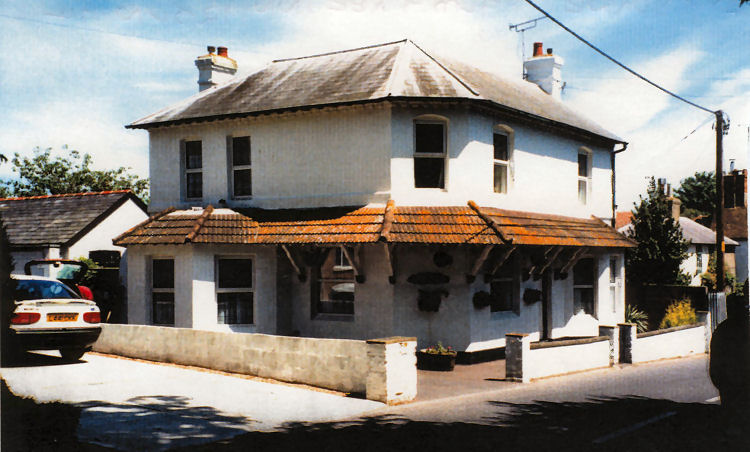 Palm Tree Eythorne 12 June 1994