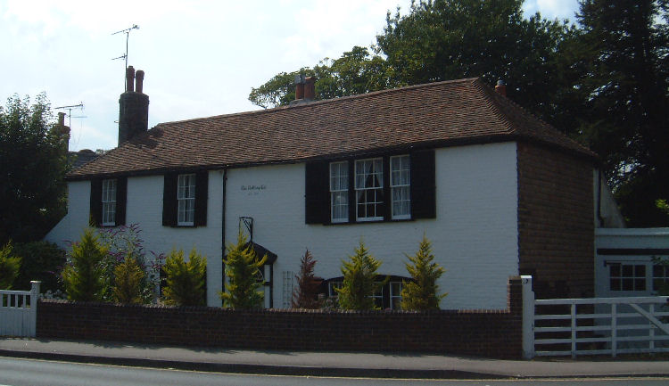 Rattling Cat in Walmer