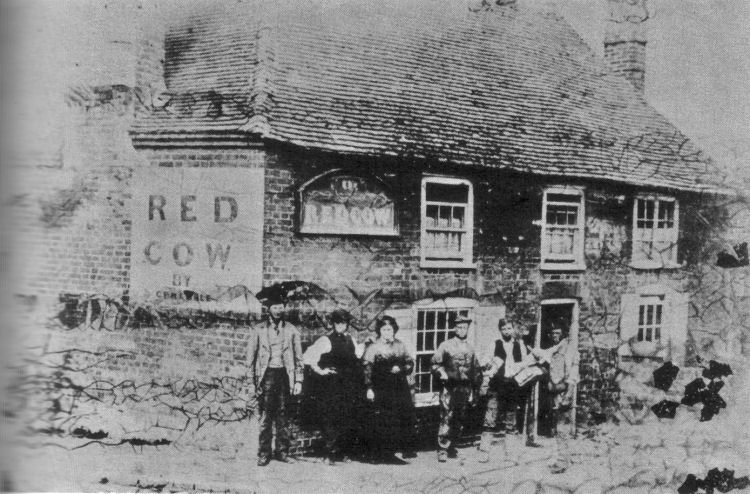 Red Cow 1880