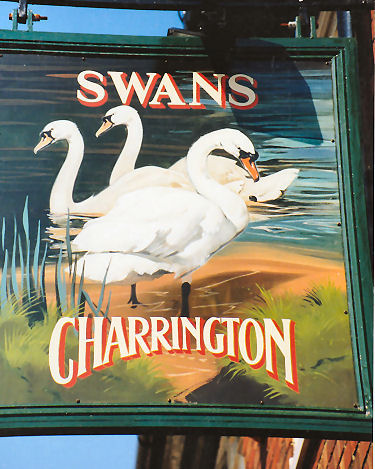 Swans sign 1991
