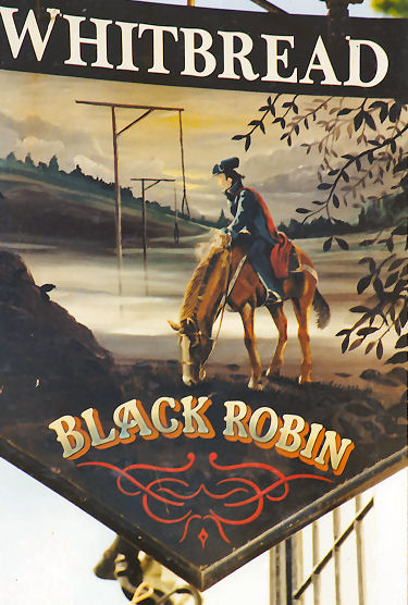 Black Robin sign 1991