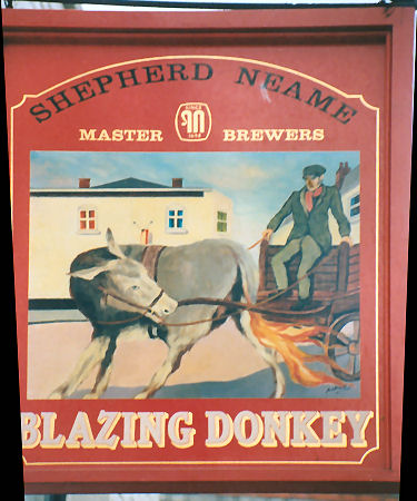 Blazing Donkey sign 1992