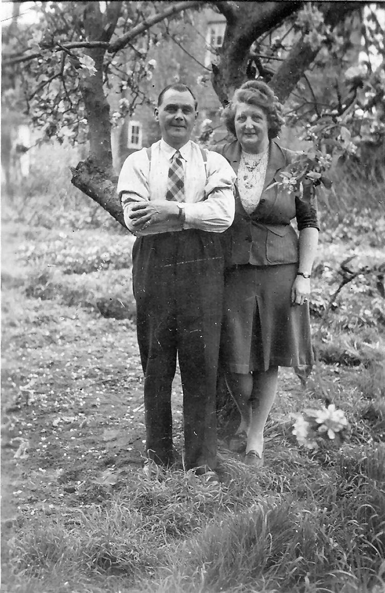 Licensee at ack of Dolphin