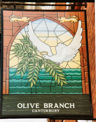 Olive Branch 1991