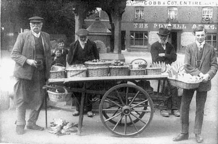 Powell Arms stall 1912