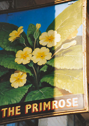 Primrose sign 1991