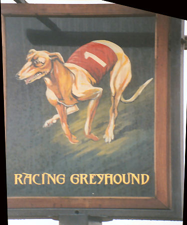 Racing Greyhound 1991