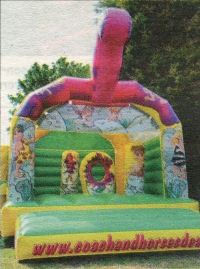 Bouncy Castle Dinosaur