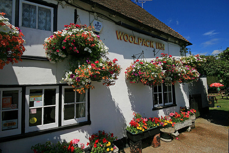 Woolpack in Brookland