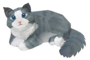 Cat Norwegian Forest