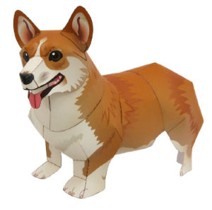 Corgi