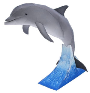 Dolphin
