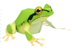 Frog