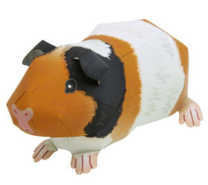 Guinea Pig