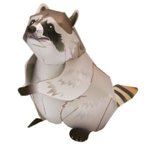 Racoon
