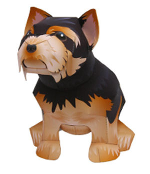 Yorkshire Terrier